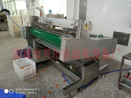 山東貝爾廠家直銷(xiāo) 休閑食品真空包裝機(jī)械的卓越選擇